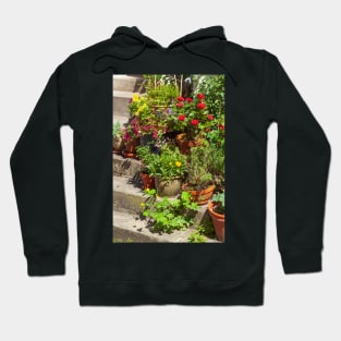 Steps with flower pots Hoodie